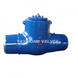 Pressure Seal Check Valve