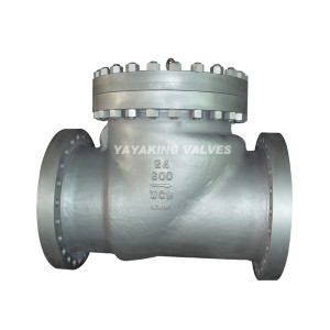 Swing Check Valve