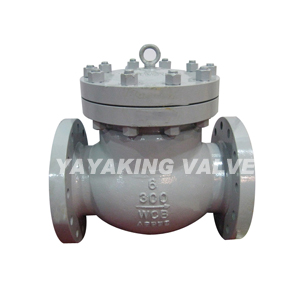 Lift Check Valve