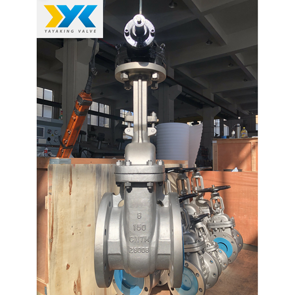 Gate valve CN7M, Alloy 20